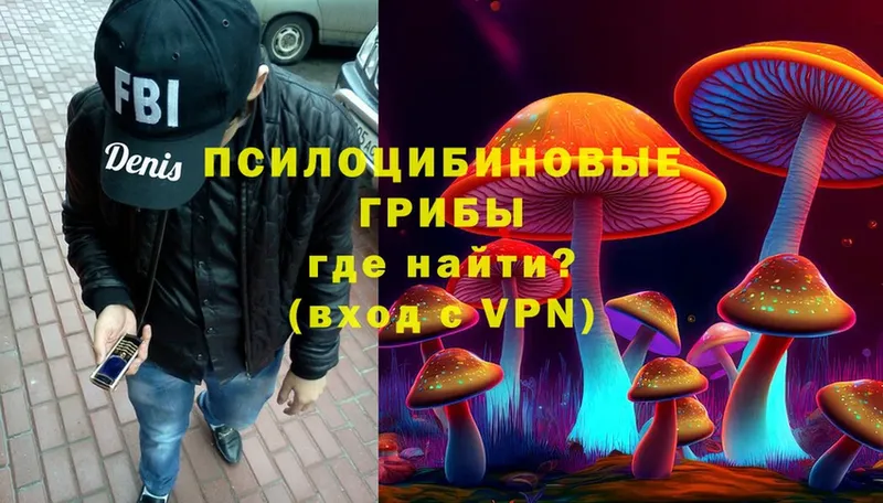 OMG как зайти  Выборг  Псилоцибиновые грибы Cubensis 